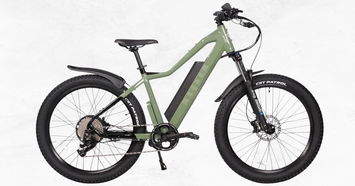 Electric bike hot sale review
